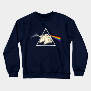 Flare Crewneck Sweatshirt